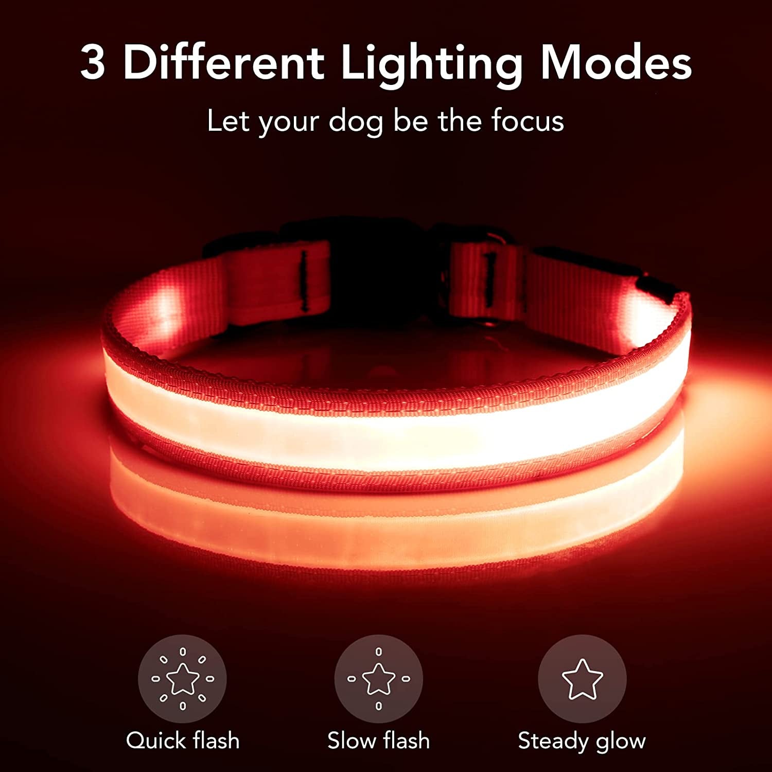 Vizpet LED Dog Collar, Light up Dog Collar Adjustable USB Rechargeable Super Bright Safety Light Glowing Collars for Dogs(Small,Red)